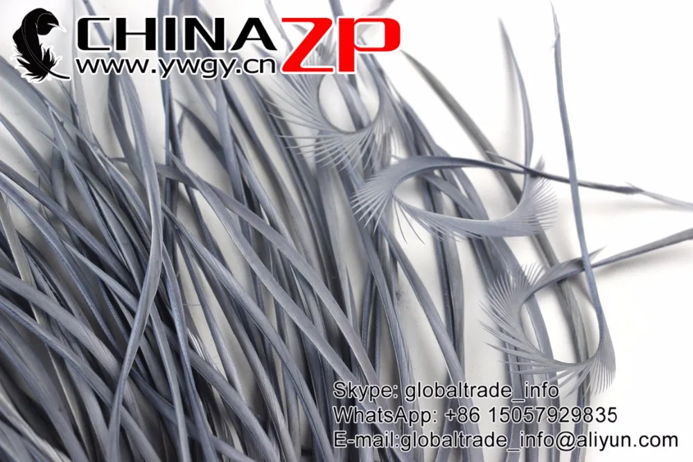 18 Silver Grey Goose Biots Feathers (1)