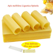 10pcs professional bee wax foundtion apis mellifera ligustica Italian bees beekeeping tools honeycomb food beeswax beehive tool