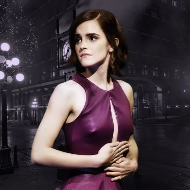 

LZAIQIZG NEW 5D DIY Diamond Painting Emma Watson Diamond Embroidery Cross Stitch Needlework Gift Full Rhinestone Decoration