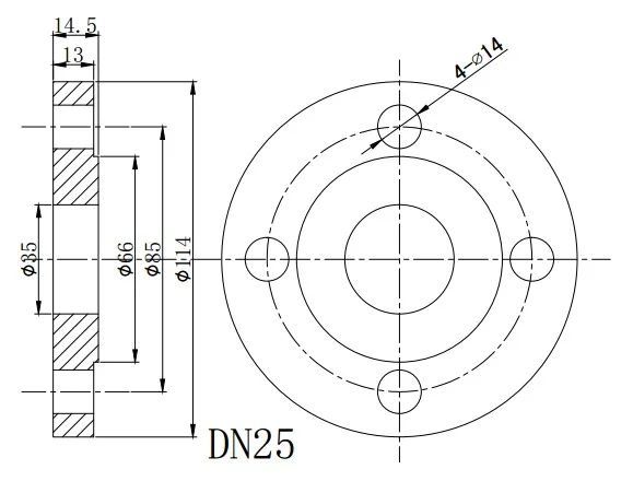 DN25