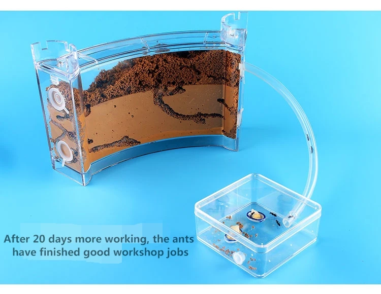 big-ant-house (2)