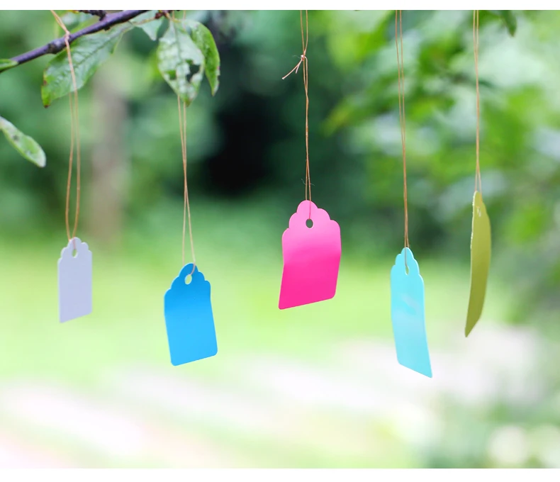 100Pcs/bag Waterproof Strip Line Gardening Labels Gardening Tree Signs Plant Hanging Tags Garden Labels Flower Tags Plant Lab
