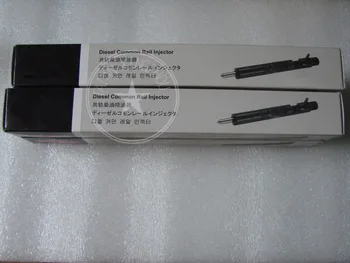 

common rail injector EJBR04701D for delphi ssang young engine
