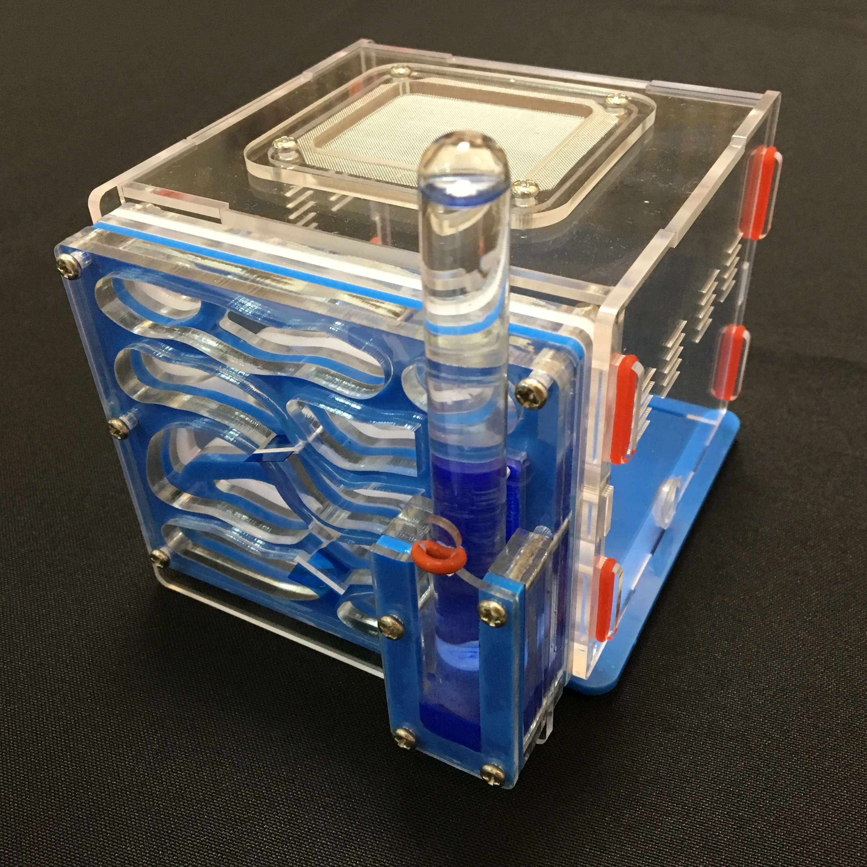 DIY moisture with feeding area ant nest ,ant farm acryl, insect ant