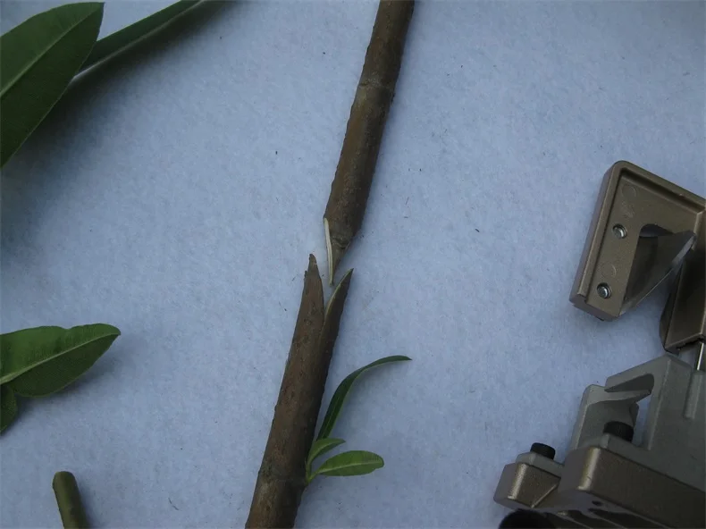 Инструмент для прививки овощей фруктовых деревьев|tree grafting|tree grafting toolstree tools |