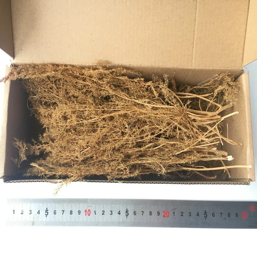 architecture new model grass (8)