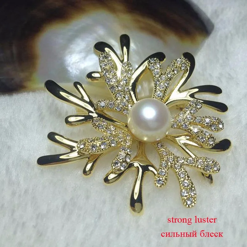 TB2LijphpXXXXaqXpXXXXXXXXXX_!!991761250