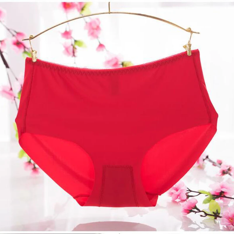 Hot Sale Women Sexy Panties Summer Ladies Seamless Soft Brief Breathable Cotton Intimates Underwear Women Clothing Free Shipping (20)