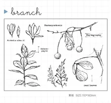 CS1219 Scrapbook DIY Photo Album Cards Transparent Acrylic Silicone Rubber Clear Stamps Sheet 11x16cm branch