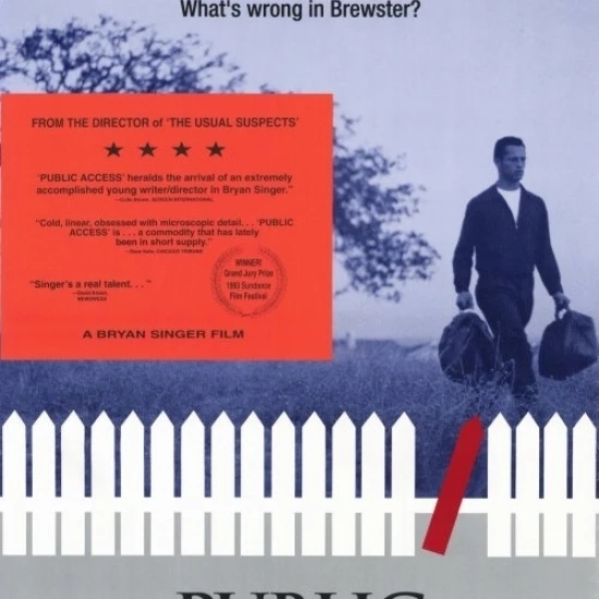 Public Access Movie Poster (11 x 17)