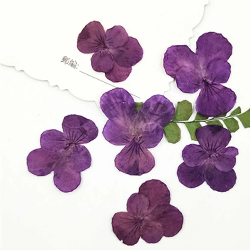 粉紫色1.5-3CM