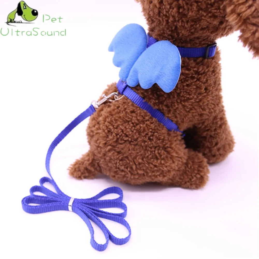 

Cute Angel Cat Dog Leashes and Collars Set Puppy Leads for Small Dogs Cats Designer Wing Adjustable Cat Harness Pet Accessories