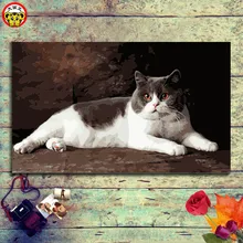 Картины с кошками нарисованные красками по номерам на холсте с рамкой нумерации краски по номерам наборы акриловые