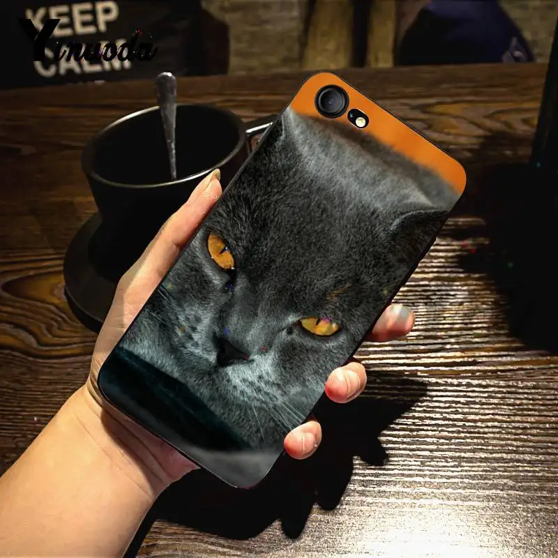 Чехол Yinuoda для iphone 7 6 X дизайнерский чехол с британской короткошерстной кошечкой