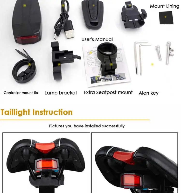 A6 tail light (13)