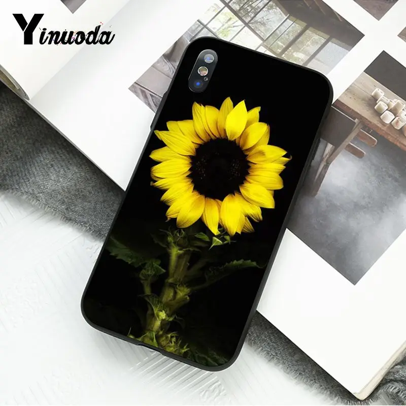Yellow Sunflower
