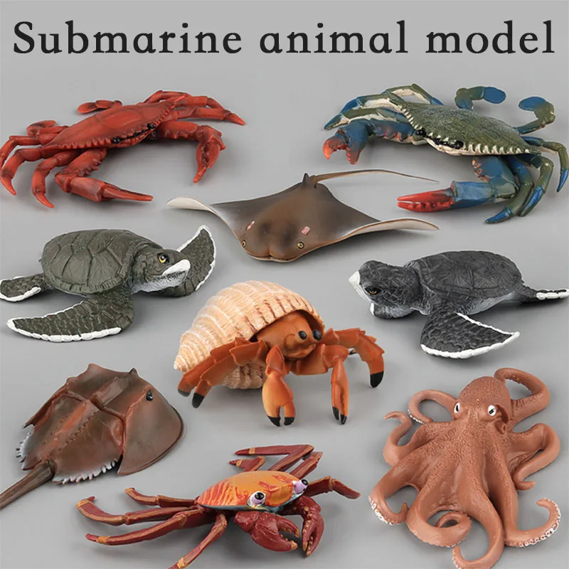 

Simulation Marine Biological Model Octopus Turtles Crabs Octopus Hermit Crab Model Animals Sea Animals Decoration