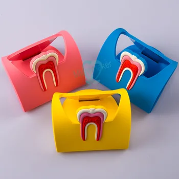 

3PCS Cute Dental Name Card Holder Case Holder Case Display Dental Tool Dental Clinics of Stomatology Gift