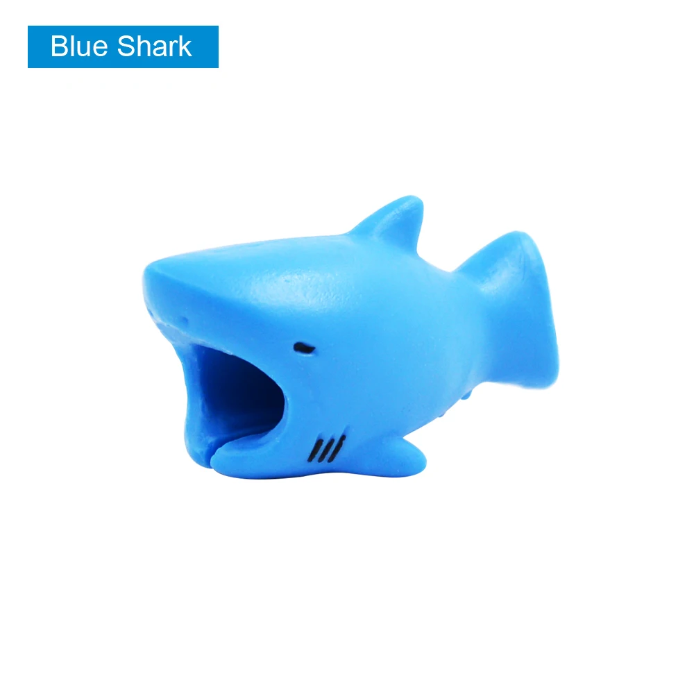 Blue-Shark