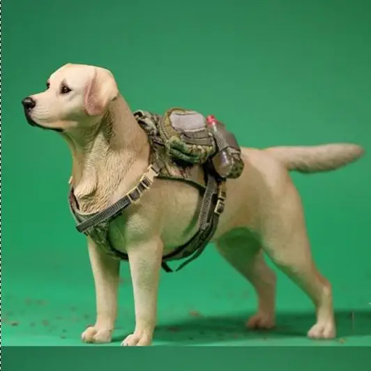 MRZ025 1/6 Scale Animal model scene acc 4 colors Mr.z NO.25 Labrador