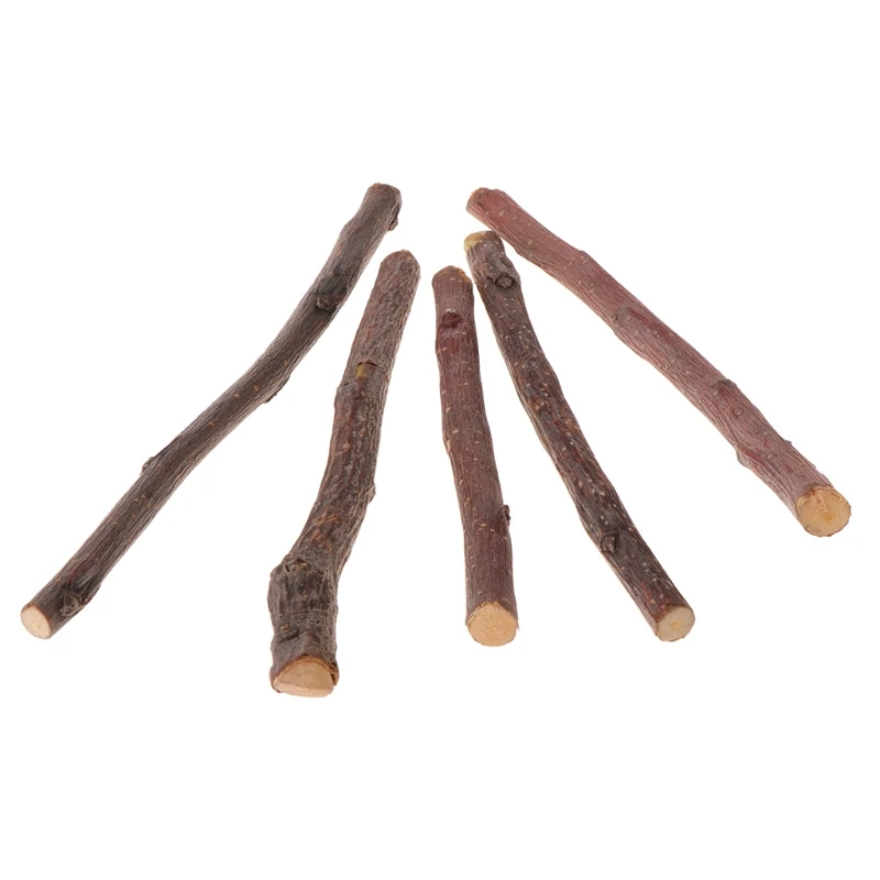 

5PCS Wooden Bird Parrot Hamsters Chewing Toys Natural Apple Tree Branch Toy for Pet Parrots Rabbits Bird Toy