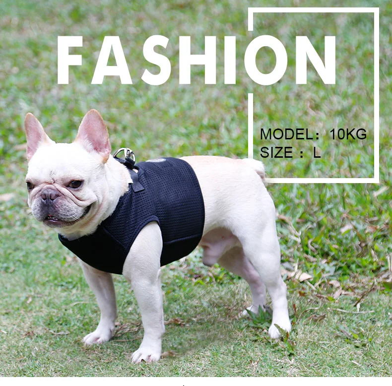 Dog Harness (1)