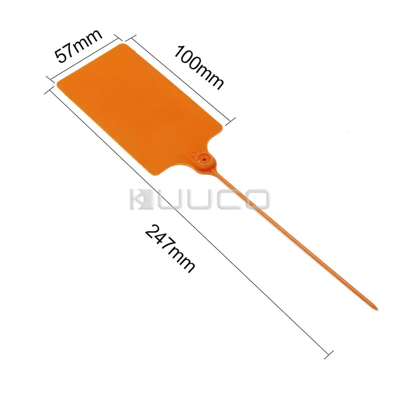 300433_K15