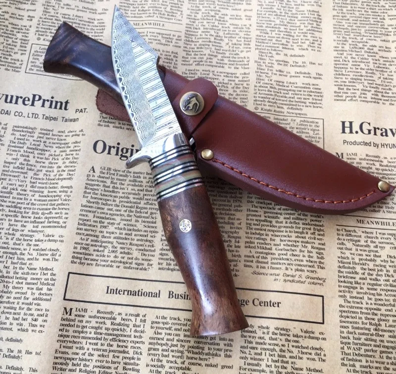 3564447836_742635196