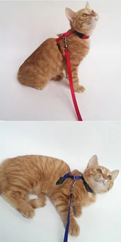 

50PCS/lot Cat Harness And Leash Hot Sale 3 Colors Nylon Products For Animals Adjustable Pet Traction Harness Belt Cat