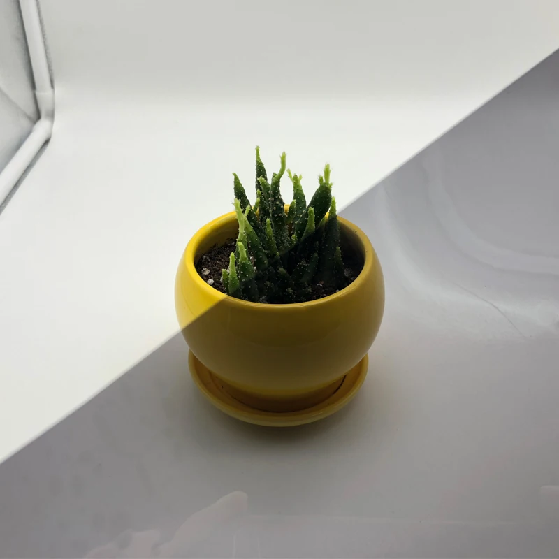 微信图片_20190610151116