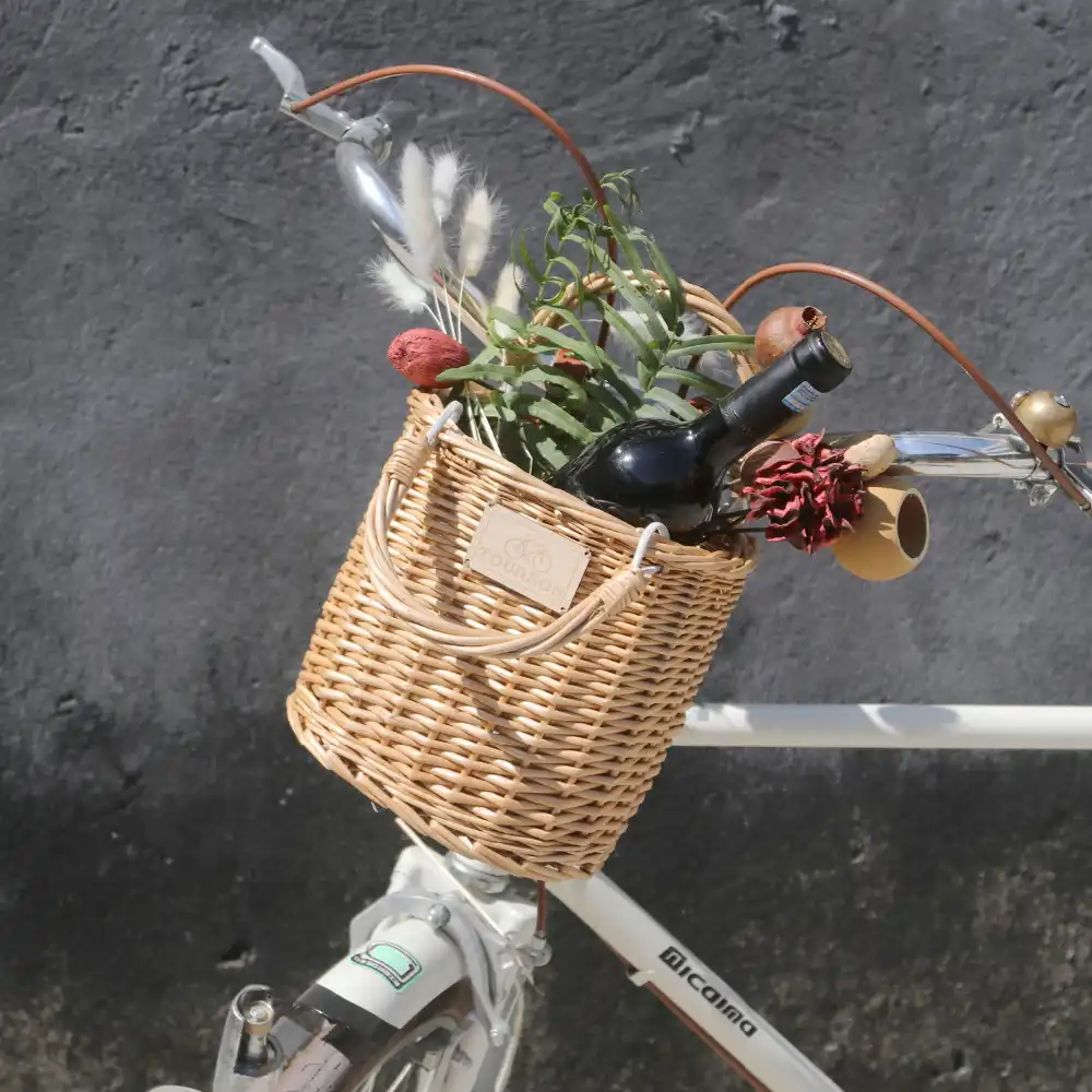 vintage basket bike