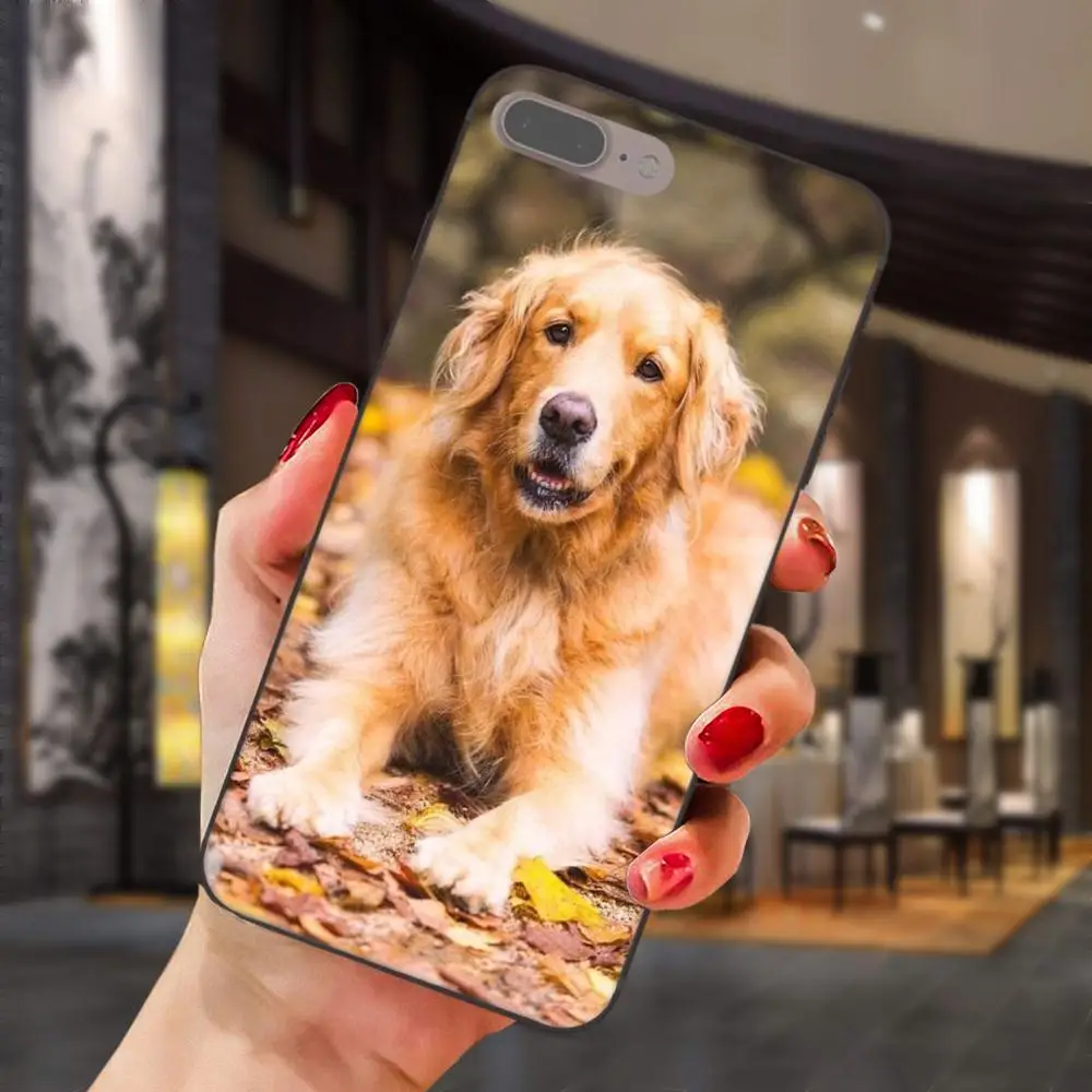 Золотой ретривер собака для Xiaomi Mi Mix Max Note 2 2S 3 5X6 6X8 9 SE A1 A2 Lite Play Pro F1 мягкий милый
