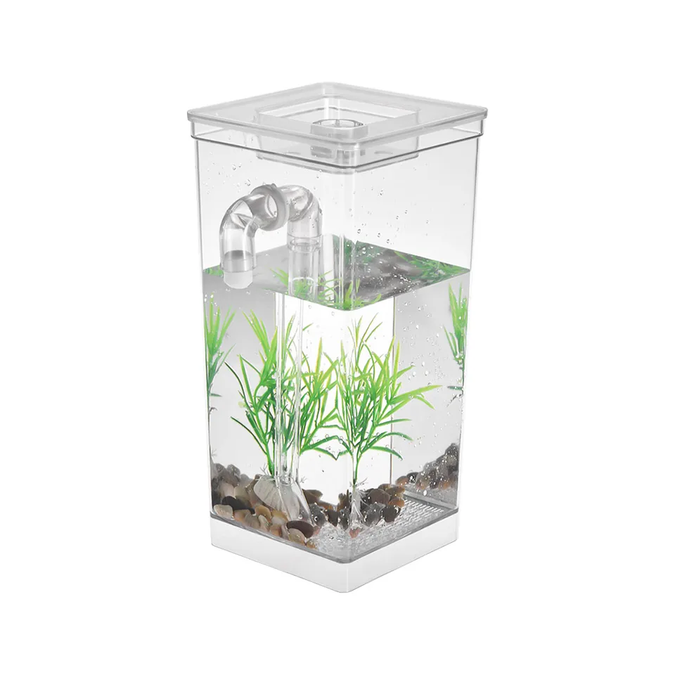 mini bowl aquarium