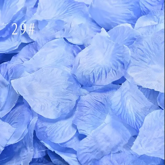 29