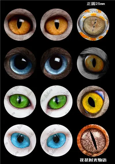 BoYuTe Новое поступление 12 шт 25 мм кабошон микс изображения глаз животного круглый стеклянный кабошон - Цвет: c0118