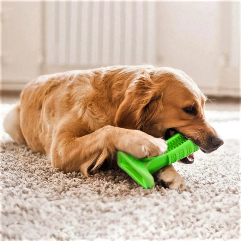 

Dropshipping Dog Toothbrush Bristly Brushing Stick Poodle French Bulldog Kedi Rubber Toys For Cats Best Selling 2018 Products