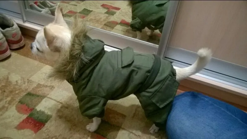 UT8vXYWXzXXXXagOFbXl