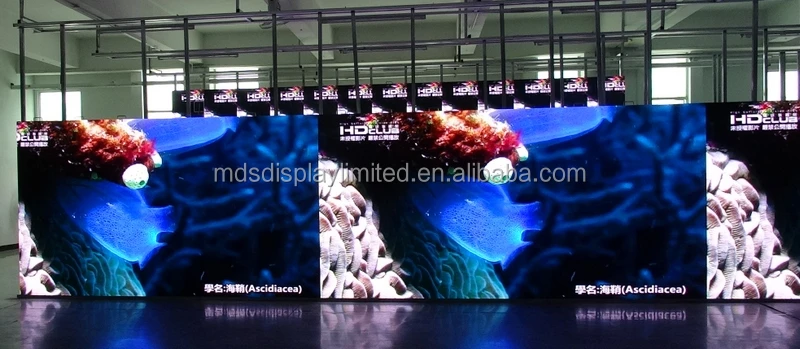 El alquiler интерьер todo цвет del rgb P3.91 llevo la pared видео levada видео de la pantalla