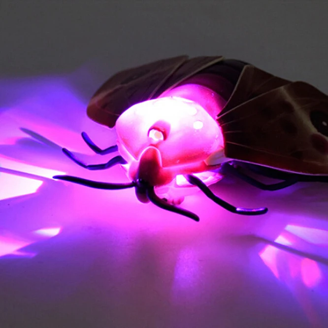 rc fly  (1)