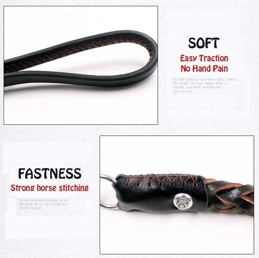 6 Collars, Harnesses & Leads