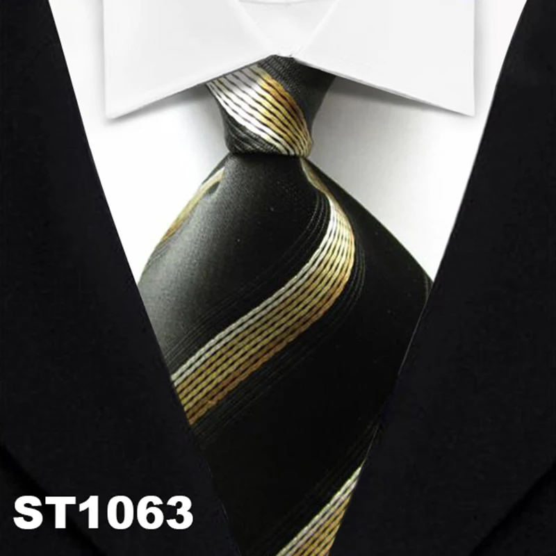 TS1063