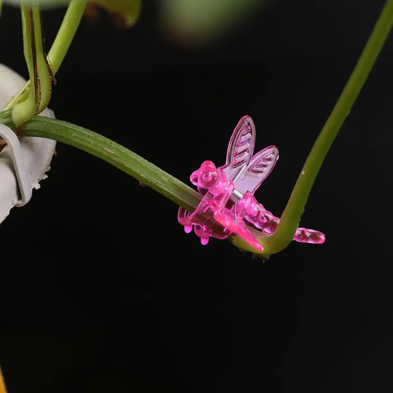 30 шт. Стрекоза Орхидея зажимы Орхидея садовник поддержка милый сад растение цветок лоза опорные зажимы#710
