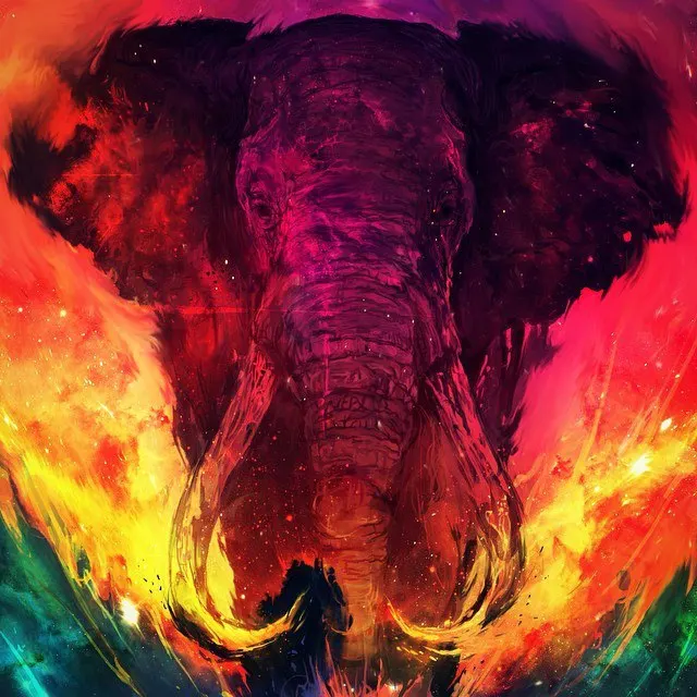 

5D Diy Diamond Painting Colored Tiger Elephant Embroidery Diamond Painting Cross Stitch Lion Animals Rhinestone Mosaic Paintings
