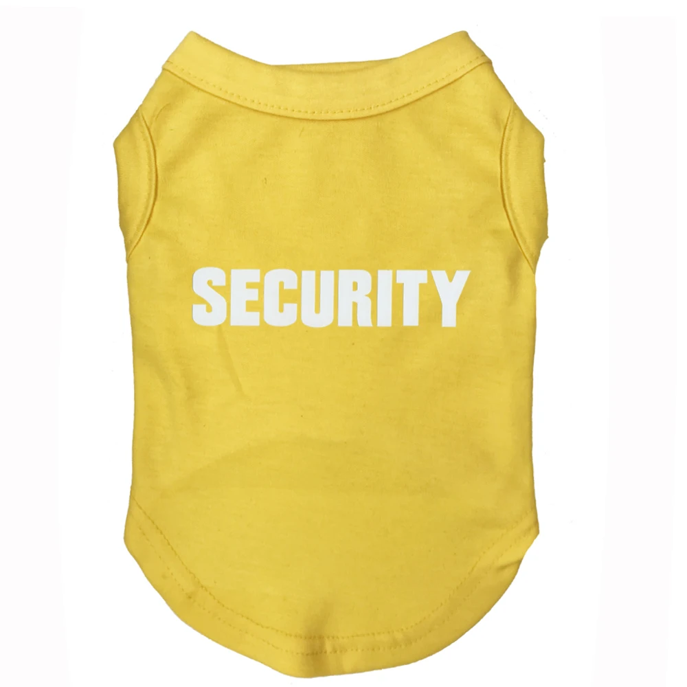 security 