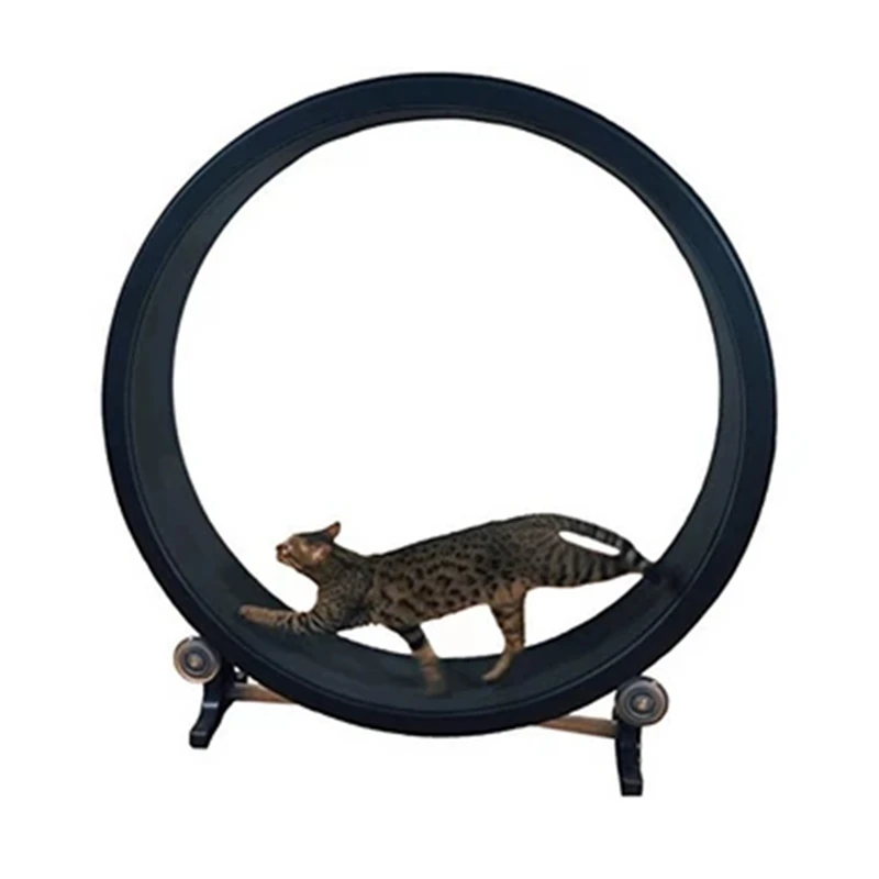 Perdida de peso gatos