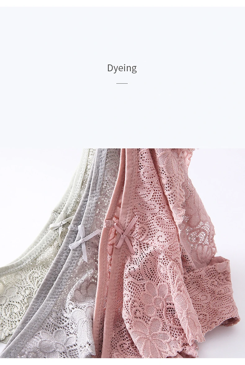 plus size panties low waist women sexy underwear lace briefs female sexy panty breathable cotton panties women 00 (12)