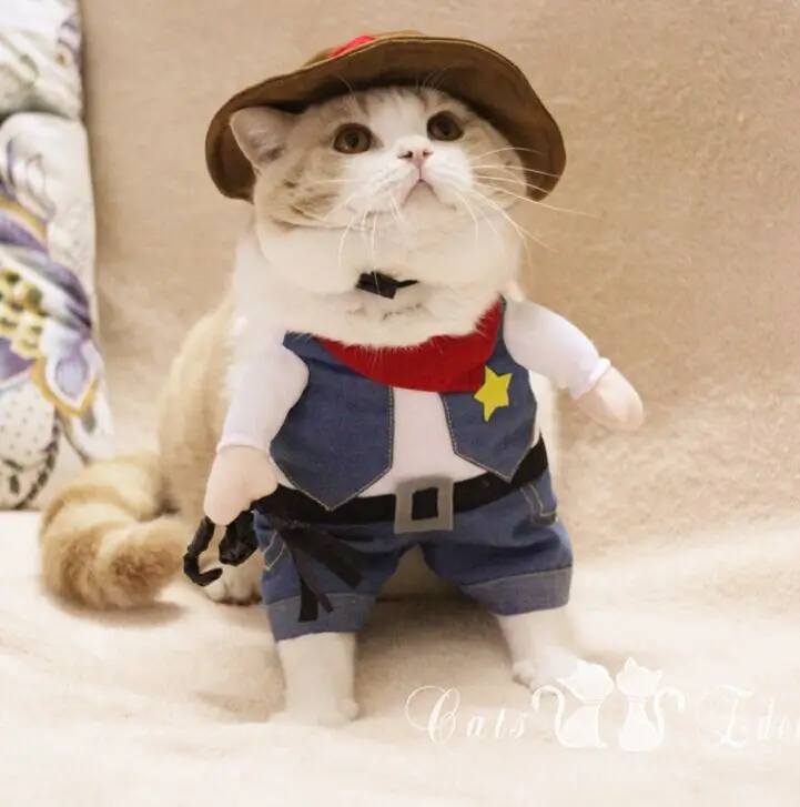 Популярные Стиль Pet Cat Костюм Смешной Запад Ковбой Собака Одежда Kitty Костюм Одежда С hat D84