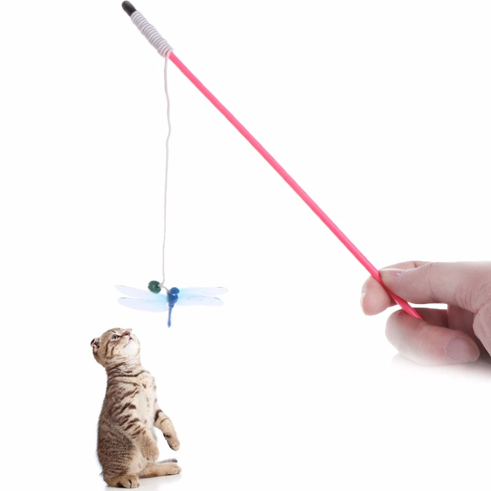 dragonfly cat toy