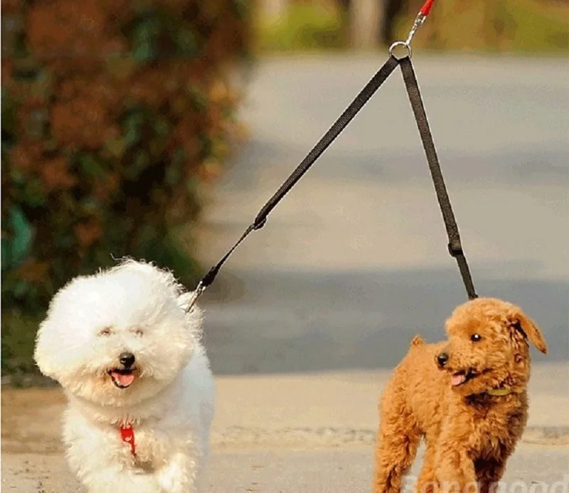 L44_New_Pet_dog_cat_Double_Multiple_Dual_Coupler_Leads_2_Way_Two_Pet_Dogs_Walking_Leash_Safety_ (14)