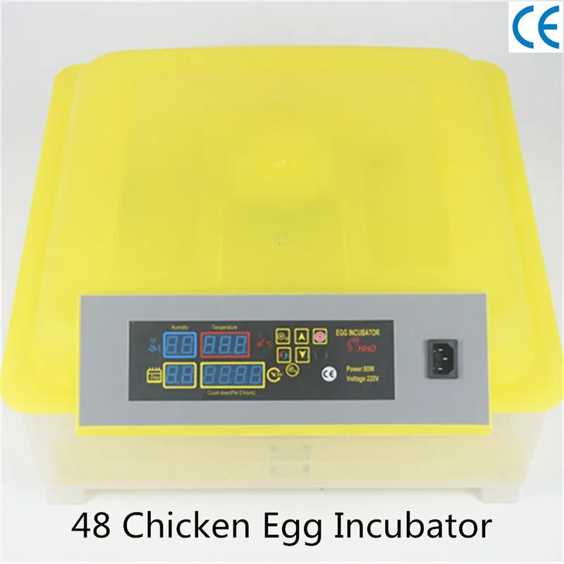 

Cheap China automatic 48 mini egg incubator quail egg incubator 48 eggs hatcher machine for sale